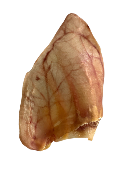 Pig Ear Dog Treat Chews