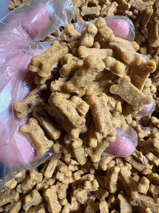 BeyondWhiskers Pumpkin and Cranberry mini Soft Dog Treats Bones (BULK) image 0