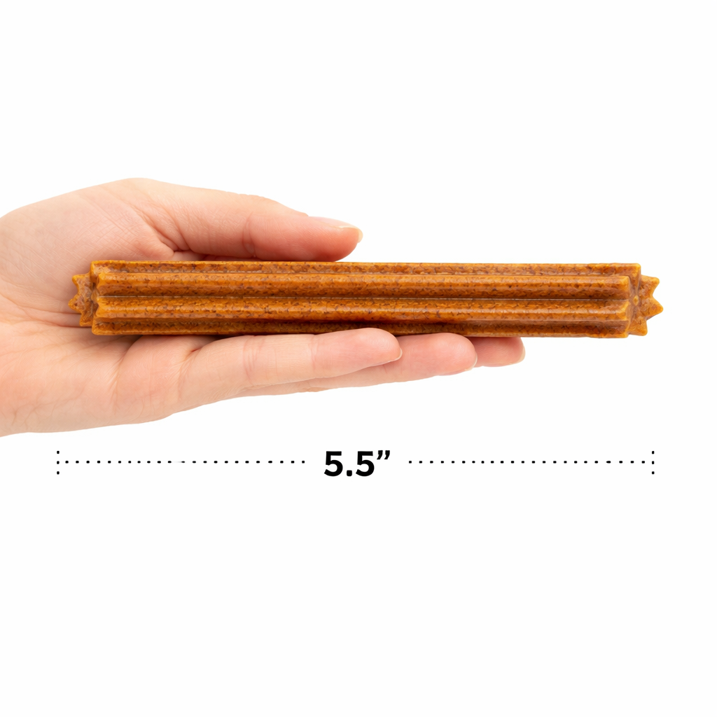 Pumpkin Dental Dog Chews – Natural Teeth Cleaning Treats dental Dog treats