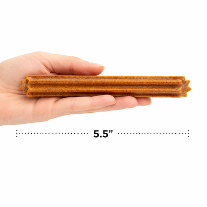 Pumpkin Dental Dog Chews – Natural Teeth Cleaning Treats dental Dog treats